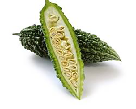 Bitter Melon